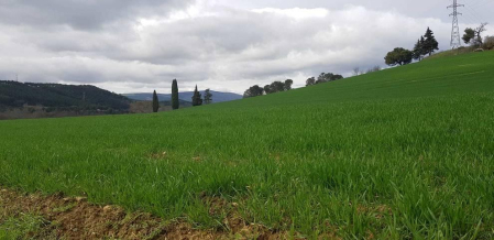 Fotos enviadas por los lectores durante el invierno de 2020.
