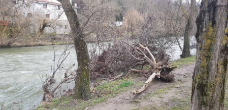Fotos enviadas por los lectores durante el invierno de 2020.