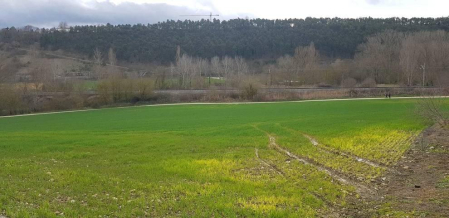 Fotos enviadas por los lectores durante el invierno de 2020.