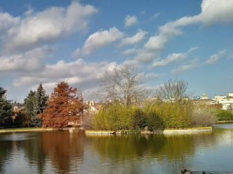 Fotos enviadas por los lectores durante el invierno de 2020.