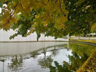 Fotos enviadas por los lectores durante el invierno de 2020.