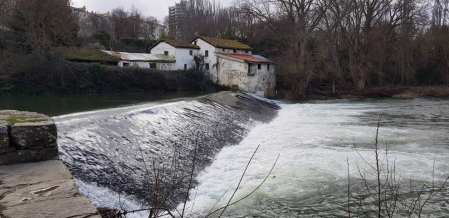 Fotos enviadas por los lectores durante el invierno de 2020.