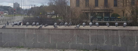 Fotos enviadas por los lectores durante el invierno de 2020.