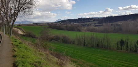 Fotos enviadas por los lectores durante el invierno de 2020.