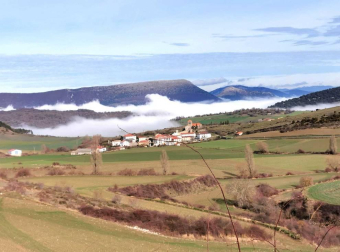 Fotos enviadas por los lectores durante el invierno de 2020.