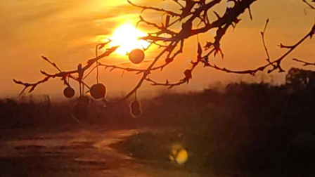 Fotos enviadas por los lectores durante el invierno de 2020.