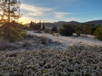 Fotos enviadas por los lectores durante el invierno de 2020.