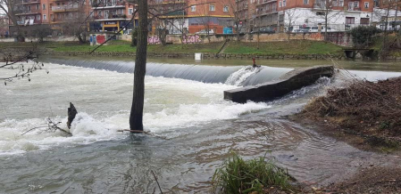 Fotos enviadas por los lectores durante el invierno de 2020.