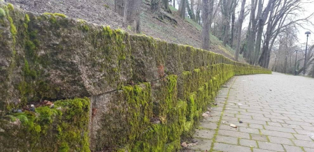 Fotos enviadas por los lectores durante el invierno de 2020.