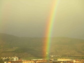 Fotos enviadas por los lectores durante el invierno de 2020.