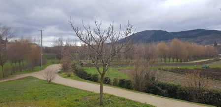 Fotos enviadas por los lectores durante el invierno de 2020.