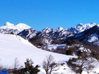 Fotos enviadas por los lectores durante el invierno de 2020.