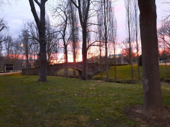 Fotos enviadas por los lectores durante el invierno de 2020.