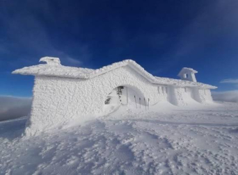 Fotos enviadas por los lectores durante el invierno de 2020.