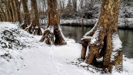 Fotos enviadas por los lectores durante el invierno de 2020.