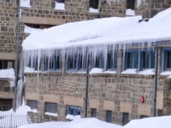 Fotos enviadas por los lectores durante el invierno de 2020.