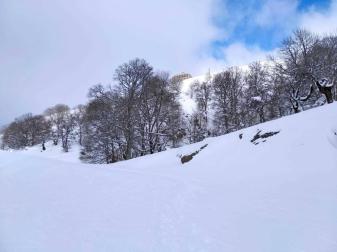 Fotos enviadas por los lectores durante el invierno de 2020.