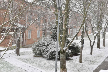 Fotos enviadas por los lectores durante el invierno de 2020.