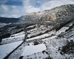 Fotos enviadas por los lectores durante el invierno de 2020.