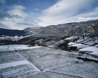 Fotos enviadas por los lectores durante el invierno de 2020.