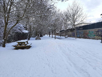 Fotos enviadas por los lectores durante el invierno de 2020.