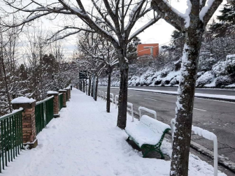 Fotos enviadas por los lectores durante el invierno de 2020.