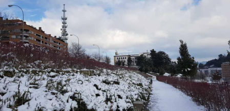 Fotos enviadas por los lectores durante el invierno de 2020.