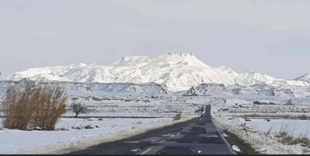 Fotos enviadas por los lectores durante el invierno de 2020.