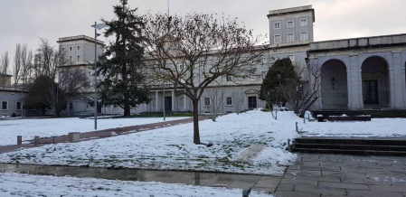 Fotos enviadas por los lectores durante el invierno de 2020.