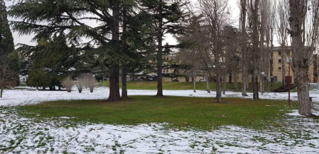 Fotos enviadas por los lectores durante el invierno de 2020.