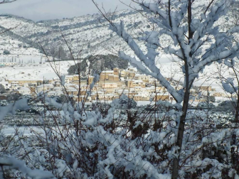 Fotos enviadas por los lectores durante el invierno de 2020.