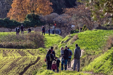 Pese a la pandemia de coronavirus, la localidad navarra celebró la tradicional cabalgata del carbonero pero con el cumplimiento de las medidas preventivas presente.