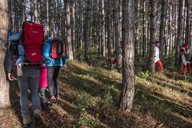 Pese a la pandemia de coronavirus, la localidad navarra celebró la tradicional cabalgata del carbonero pero con el cumplimiento de las medidas preventivas presente.