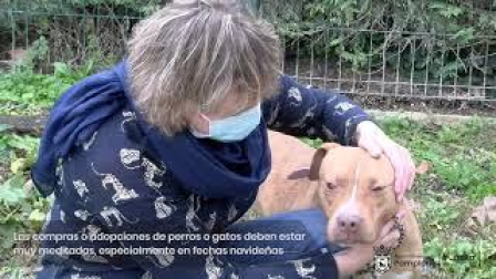 Adopciones responsables en el Centro de Atención a Animales