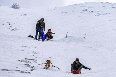 Nieve en el inicio de 2021 en Navarra. La nieve es la protagonista este 2 de enero en la Comunidad foral, que se encuentra en alerta amarilla