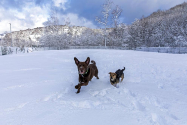 La nieve es la protagonista este 2 de enero en la Comunidad foral, que se encuentra en alerta amarilla