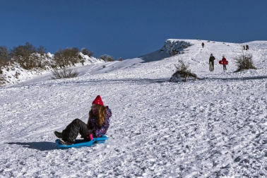 Padres y niños salieron a la nieve a disfrutar con los trineos en el alto de Lizarraga este jueves, 7 de enero.