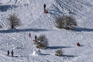 Padres y niños salieron a la nieve a disfrutar con los trineos en el alto de Lizarraga este jueves, 7 de enero.