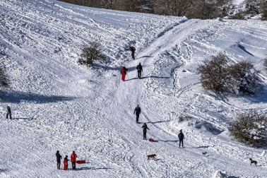 Padres y niños salieron a la nieve a disfrutar con los trineos en el alto de Lizarraga este jueves, 7 de enero.