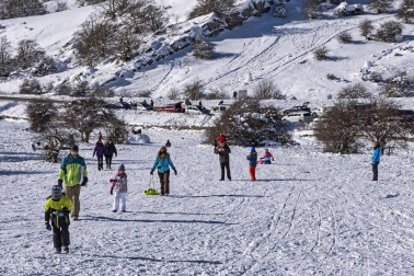 Padres y niños salieron a la nieve a disfrutar con los trineos en el alto de Lizarraga este jueves, 7 de enero.