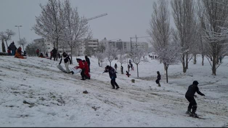 Vídeo: Niños de Tudela disfrutan de la nieve en el Parque del Queiles