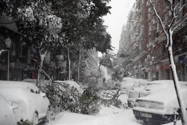 La Comunidad de Madrid ha despertado este sábado cubierta con una espesa manta de nieve que impide la movilidad en buena parte de la región, incluida la capital.