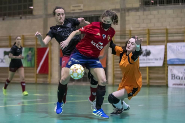 La semana del 11 al 17 de enero, vista por los fotógrafos de Diario de Navarra.
