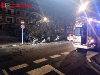El fuerte viento obliga a la Policía Municipal y Bomberos a realizar distintas intervenciones