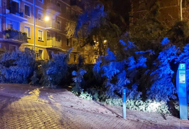 El viento ha causado diversas incidencias y caídas de árboles esta pasada madrugada en Pamplona