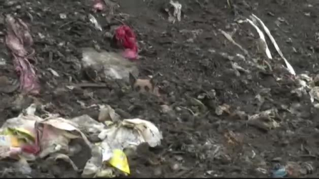Vídeo: Se cumple un año de la tragedia en el vertedero de Zaldibar