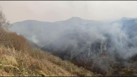 Vídeo del incendio en Bera