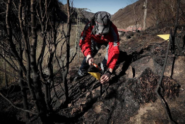 Las causas del incendio que se originó en Bera y que ha calcinado 1.800 hectáreas en Navarra, Guipúzcoa y Francia están siendo investigadas por la Policía Foral para determinar si el fuego ha sido fortuito o provocado, aunque parece que la actividad humana está detrás.