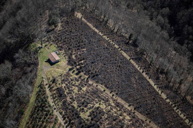 Las causas del incendio que se originó en Bera y que ha calcinado 1.800 hectáreas en Navarra, Guipúzcoa y Francia están siendo investigadas por la Policía Foral para determinar si el fuego ha sido fortuito o provocado, aunque parece que la actividad humana está detrás.