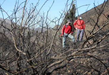 Las causas del incendio que se originó en Bera y que ha calcinado 1.800 hectáreas en Navarra, Guipúzcoa y Francia están siendo investigadas por la Policía Foral para determinar si el fuego ha sido fortuito o provocado, aunque parece que la actividad humana está detrás.